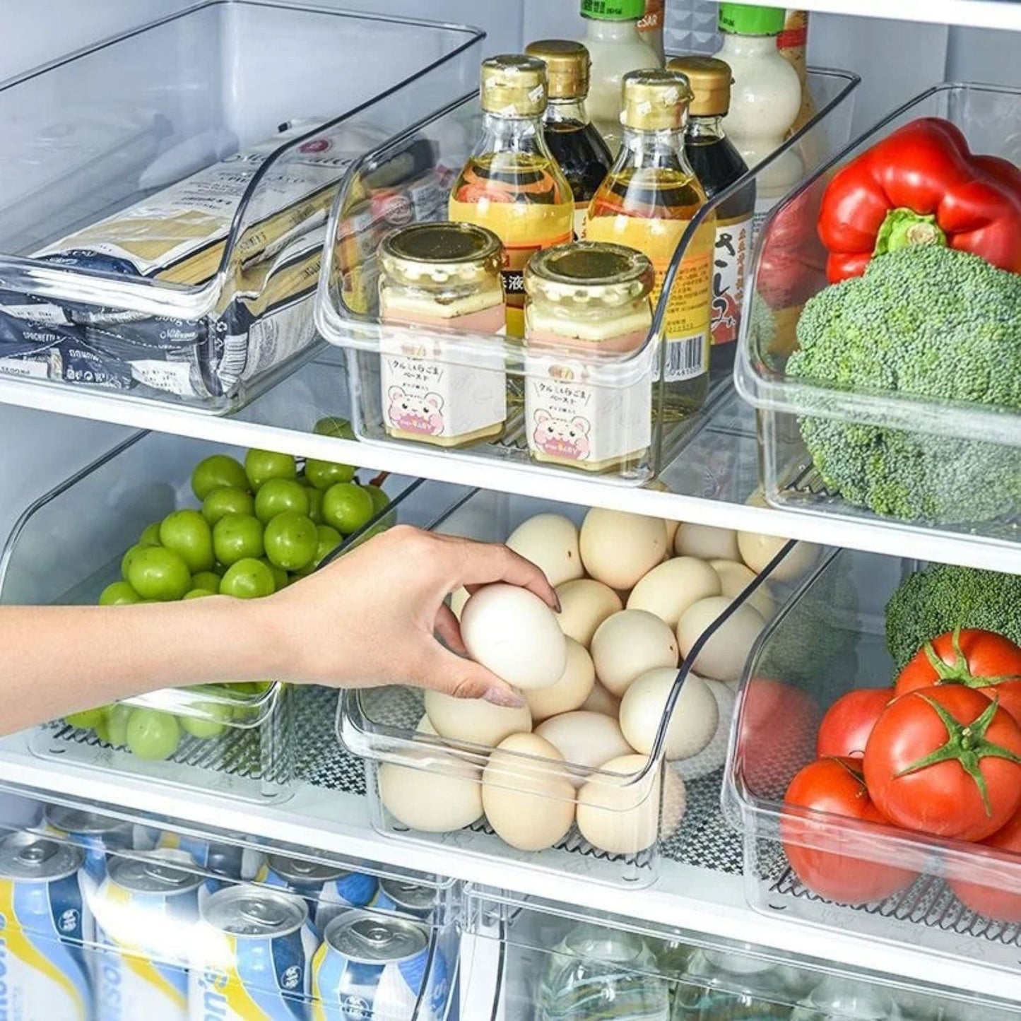 RANGEMENT FRIGO | PratikBox™
