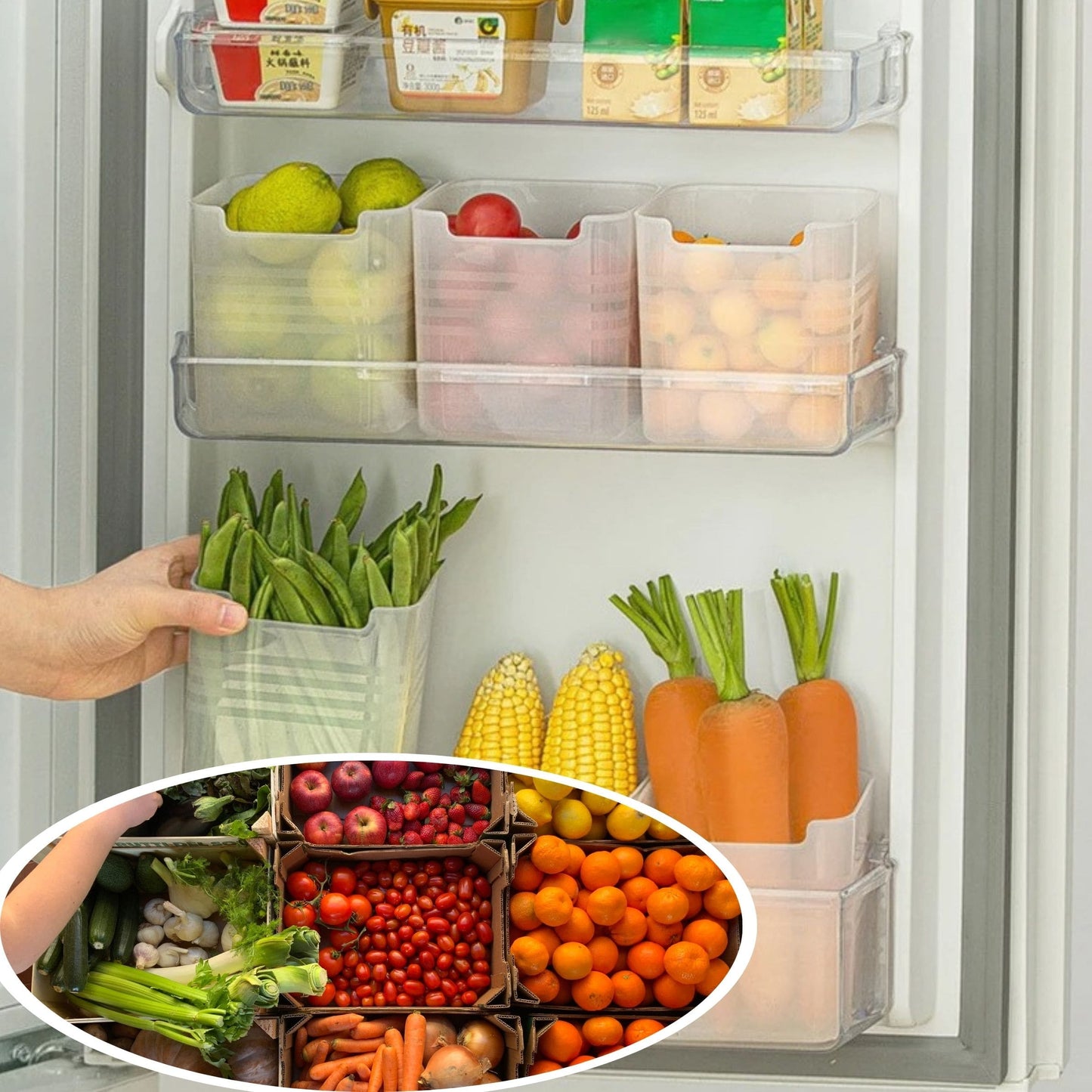 RANGEMENT-FRIGO